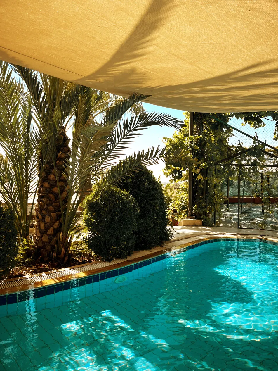 Shaded palm lounge by the pool