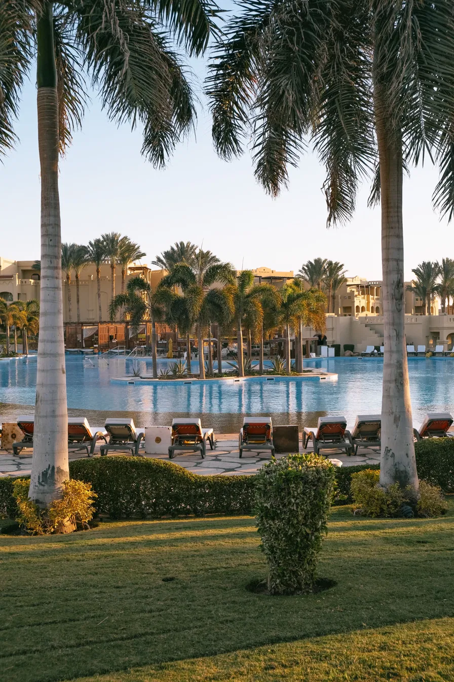 Resort pool framed by palm trees at sunset